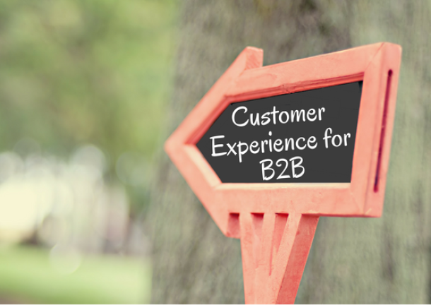text: Customer Experience for B2B