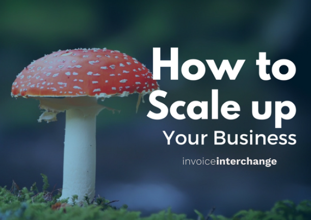 text: How to scale up your business