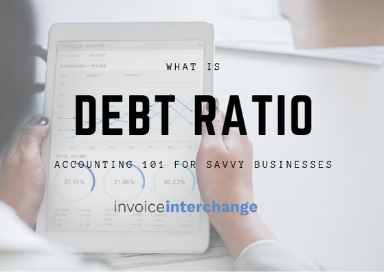 text: Debt Ratio Accounting 101 for Savvy Business