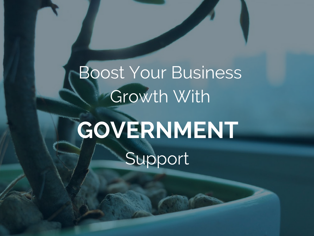text: Boost your business growth with government support